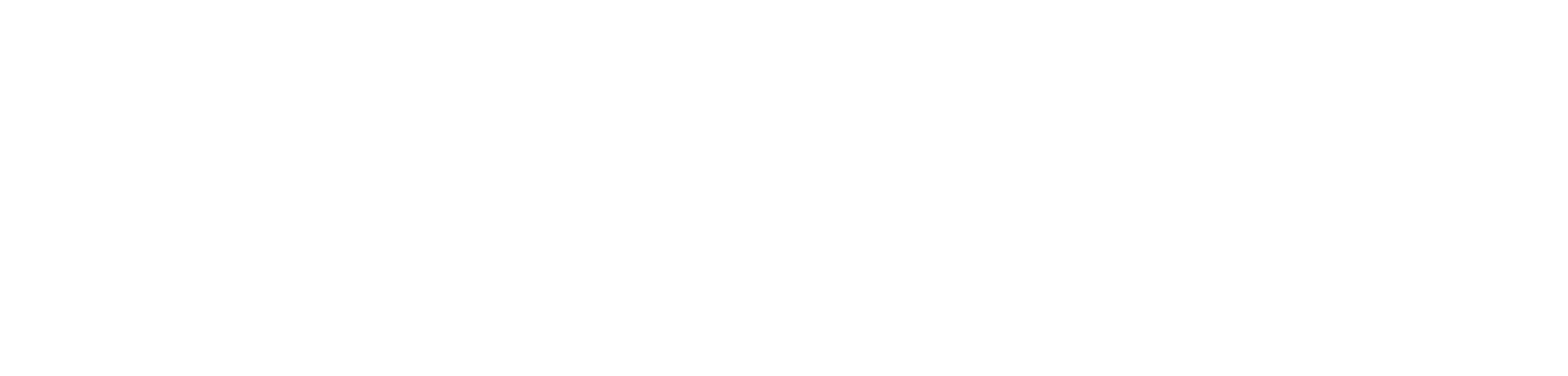 GiseFit